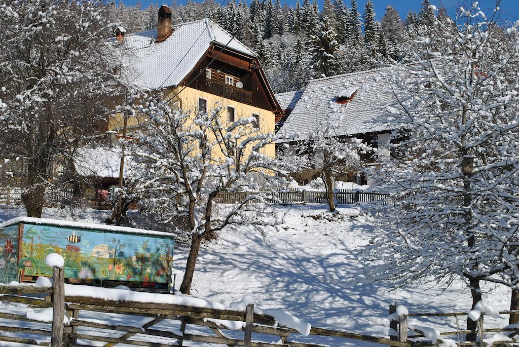 Schlintl-Hof Villa Liebenfels Buitenkant foto