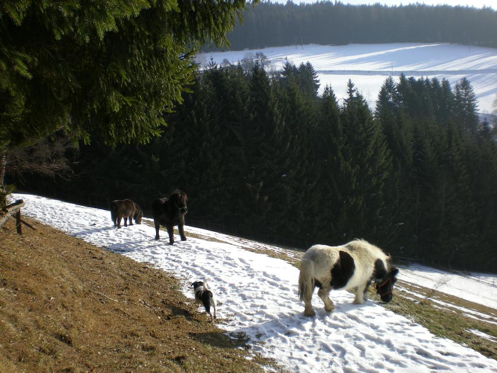Schlintl-Hof Villa Liebenfels Buitenkant foto