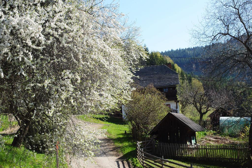 Schlintl-Hof Villa Liebenfels Buitenkant foto