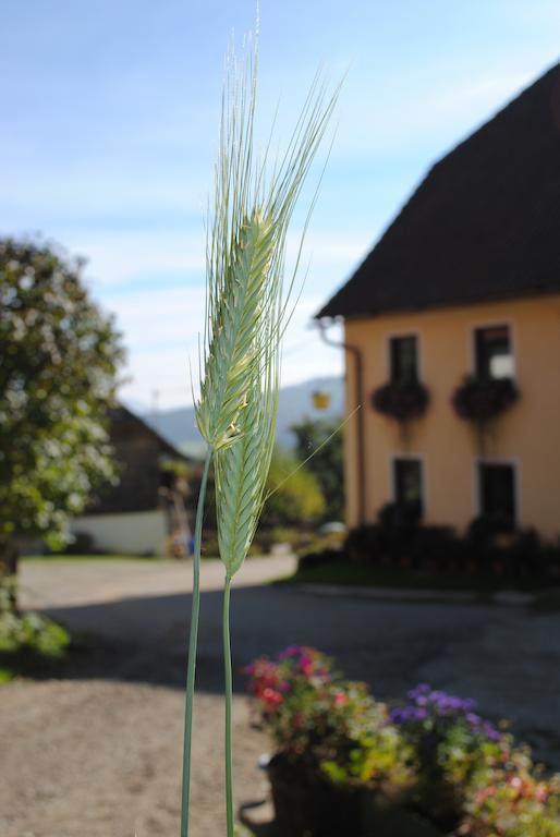 Schlintl-Hof Villa Liebenfels Buitenkant foto