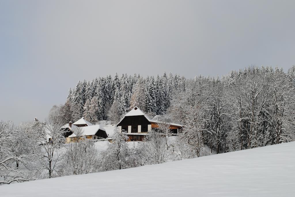 Schlintl-Hof Villa Liebenfels Buitenkant foto